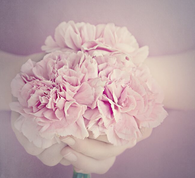 flower-1359317_1920