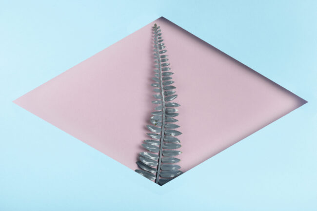 leaf-blue-rhomb-frame